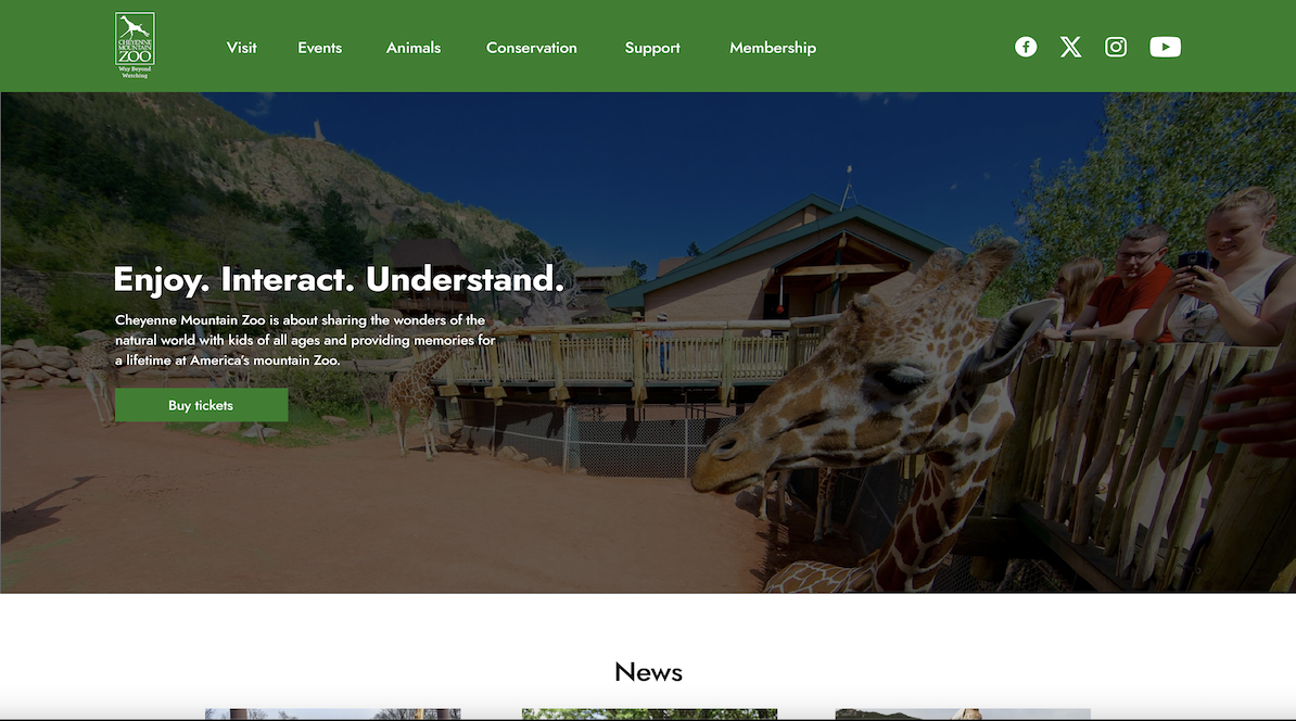 sixth web project